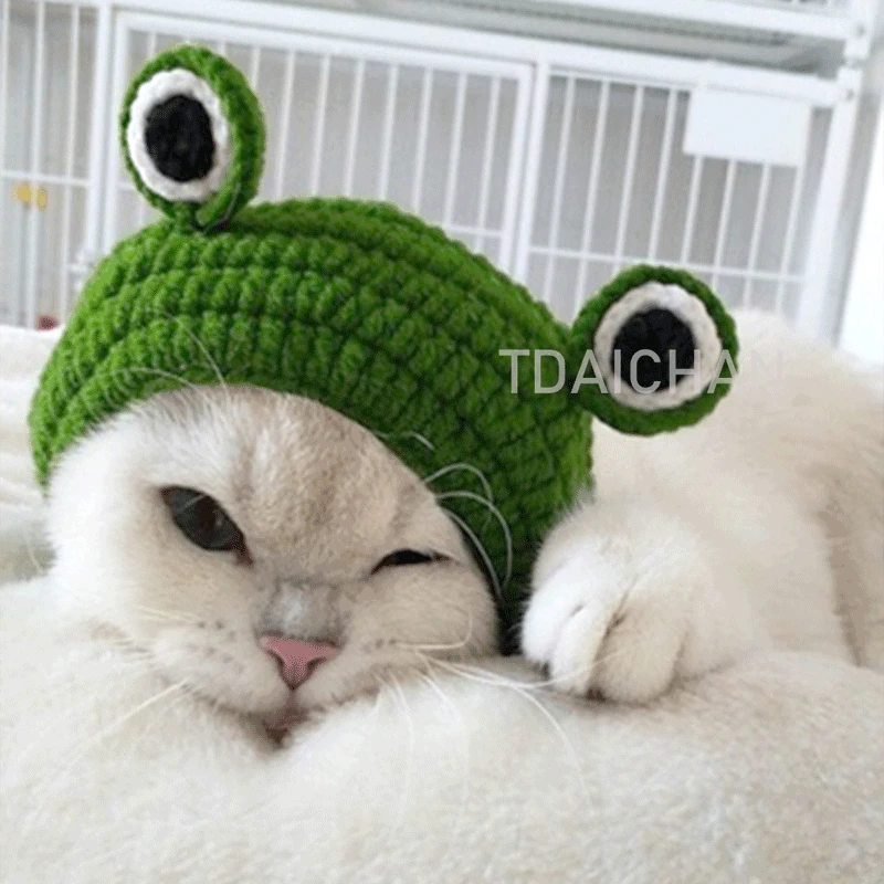 

Knitting Wool Pet Hat Cute Cat Headwear Frog Puppy Kitten Hat Handmade Winter Autumn Pet Cap Dog Accessories For Little Dog