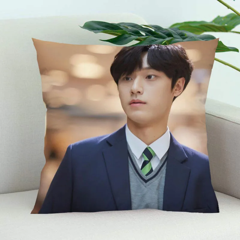 

Lee Do-hyun Pillow Cover Bedroom Home Office Decorative Pillowcase Square Zipper Pillow Cases Satin Soft