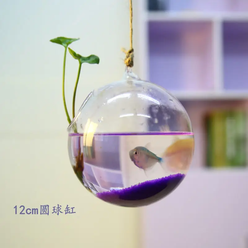 Шар с золотой рыбкой подвесная Аквариумная Рыбка бачок чаша Экосфера цветочное