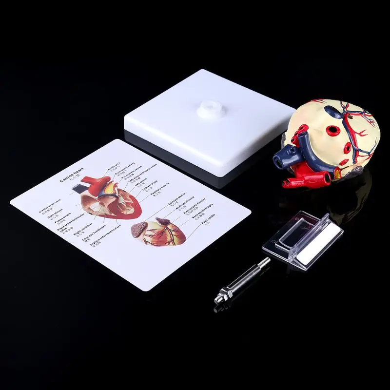 

Educational Equipment & Supplies