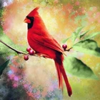 HJMGL 5D DIY Полная Алмазная картина Птицы Животные со стразами вышивка Cardinal Scenery Алмазная мозаика Искусство домашний декор