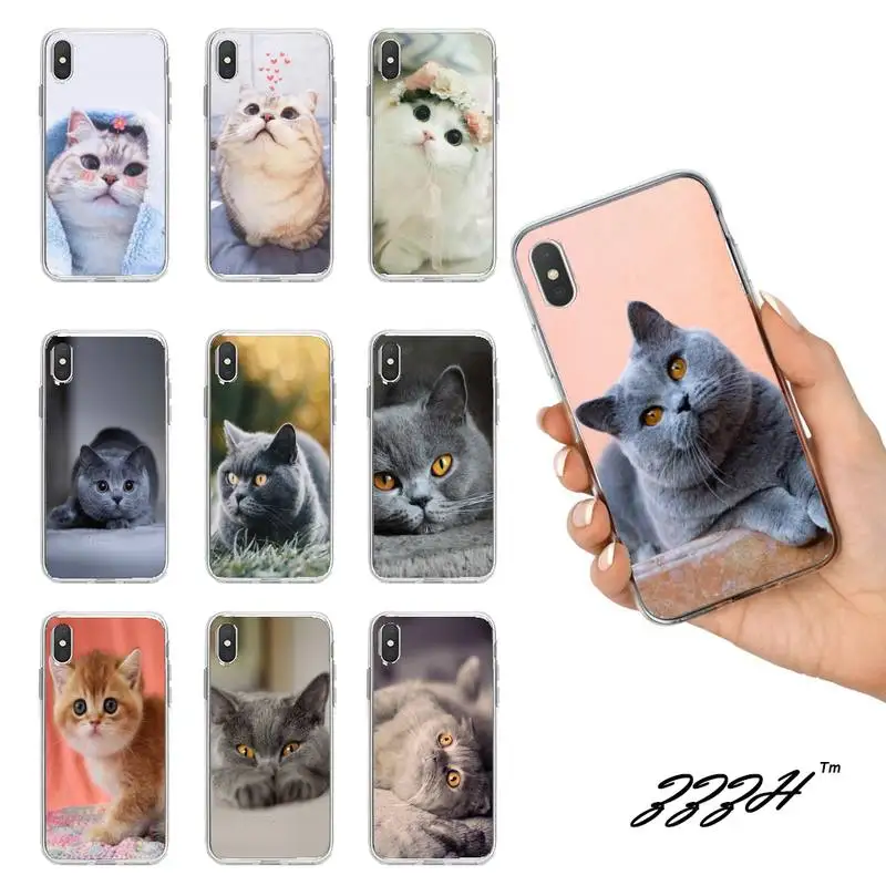 

Cute British Shorthair Cat Phone Case For Iphone 7 8 Plus X Xs Max Xr 11 12 13 Mini Pro Max SE2 Transparent Soft Clear Cover