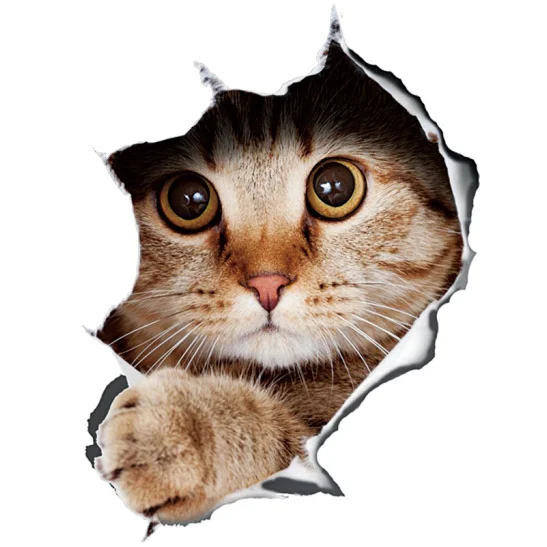 

Personalized cat car stickers, bumper stickers, door tail 3D animation funny stickers
