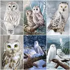 GATYZTORY Рамка Diy Раскраска по номерам белая сова набор животных акриловая краска по номерам Настенная картина Раскраска по номерам