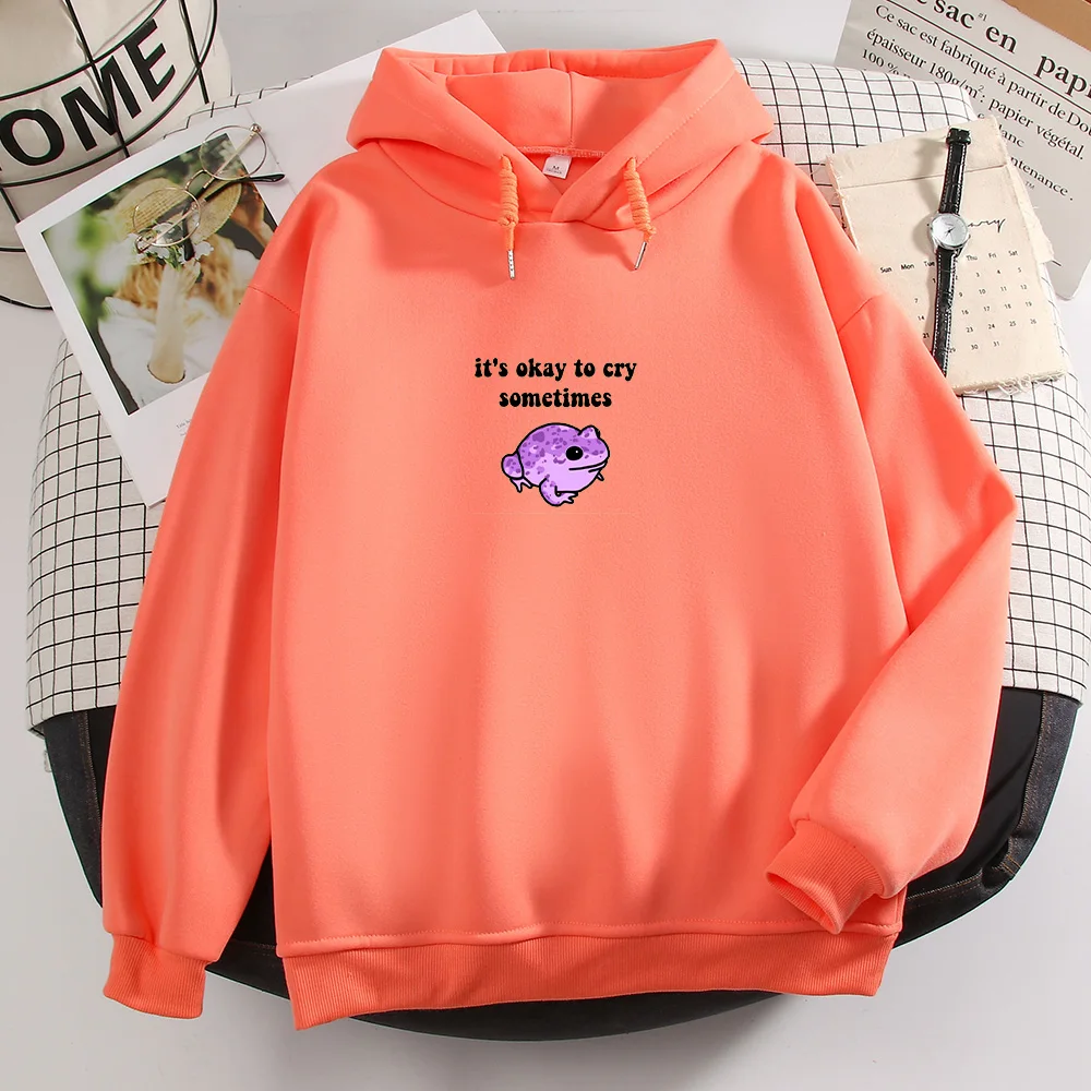 Sweatshirt Grunge Graphic Punk Harajuku Goth Clothing Unisex Drawstring Hoodie Thick Hoodies Men Sweetshirts Fashion Letter Frog