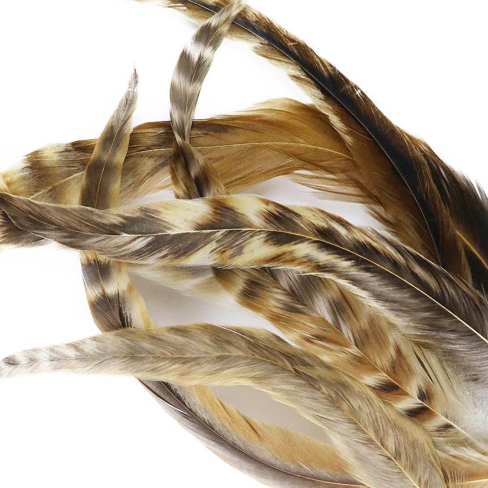 

wholesales 10Pcs Natural Pheasant Rooster Tail Feathers Chicken Plumes For Crafts Carnival Home Decoration Accessories