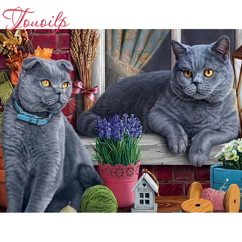 Алмазная 5D картина TOUOILP с изображением Британских коротких шерстяных кошек