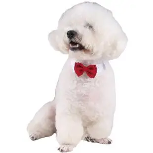 

Formal Pet Bow Tie Holliday Wedding Dog Collar Dog Clothing Costume Accessories Black Red for Small Medium Cats Dogs Pets