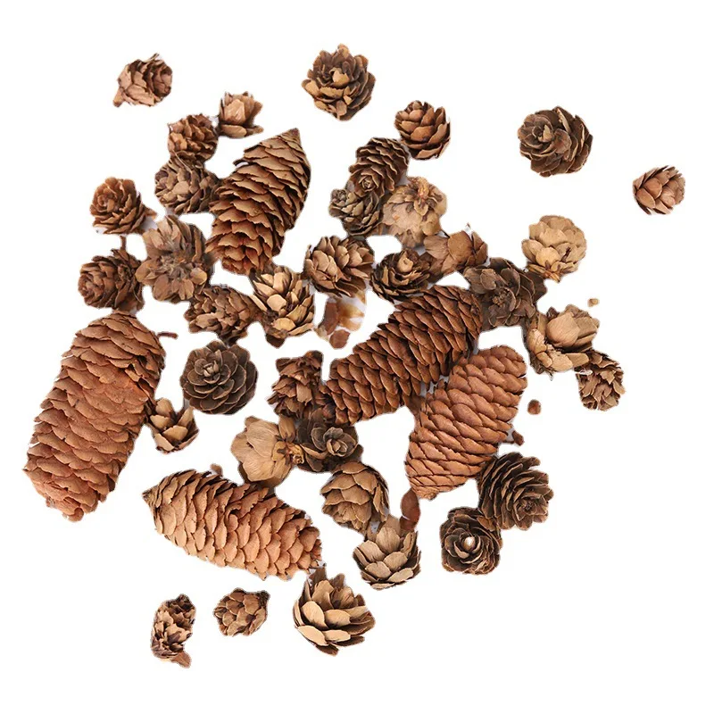 Natural Pine Cones Assorted Sizes Christmas Tree Pinecones Hanging Ornament for Home Party Crafts Gift Christmas Tree Decoration