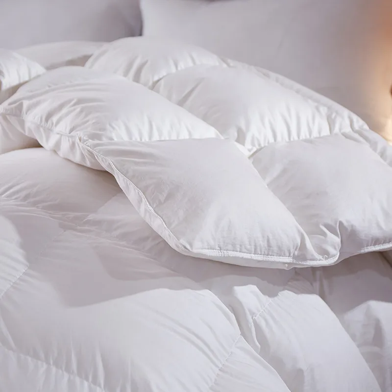 

White Goose Down Comforter for Winter & Autumn Duvet Insert Blanket Filling Feather Down Quilt Duvet King Queen Twin Size Quilt