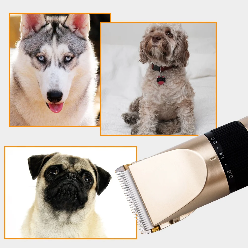 

Animals Grooming Clippers Dog Hair Cut Machine