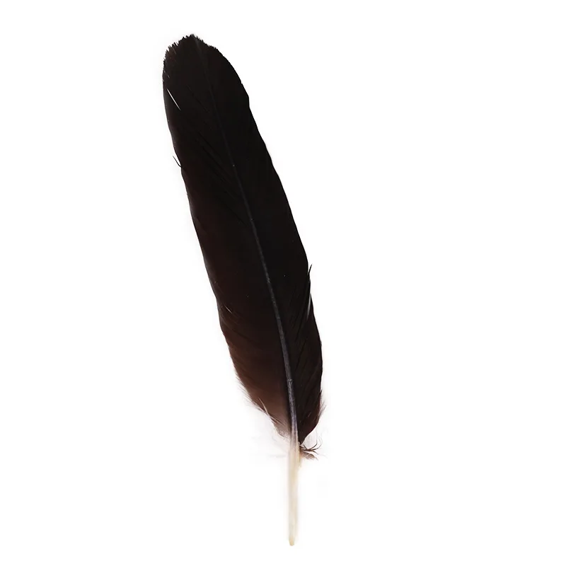 

wholesale 10pcs/lot high quality Eagle feathers 30-40cm/12-16inch diy For celebration Christmas feathers for crafts