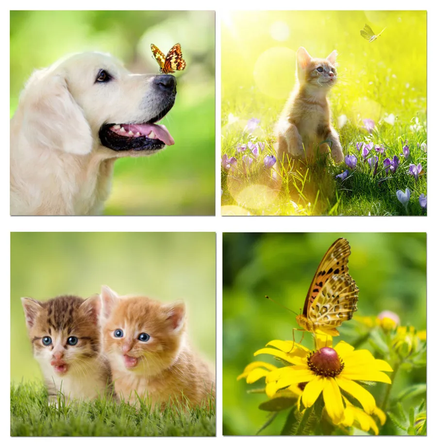 5D DIY Алмазная картина животное собака кошка бабочка вышивка крестиком домашний