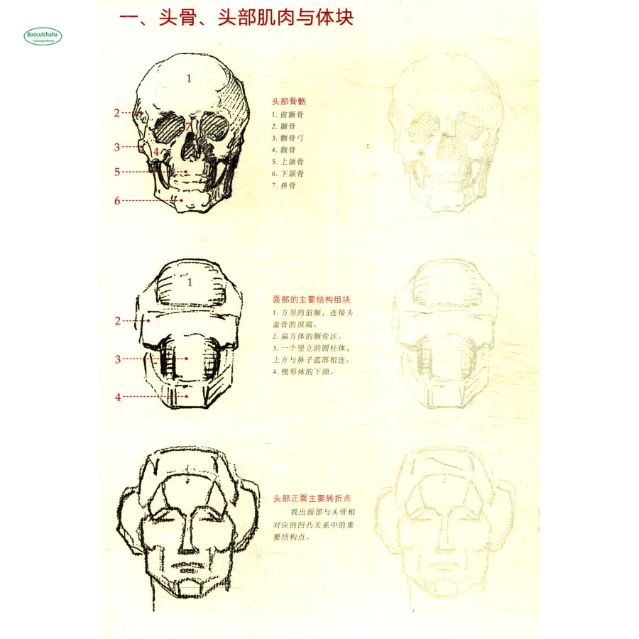 

Sketch Character Structure Drawing Practice Tutorial Textbook Figure Body Structure Teaching Tracing Book