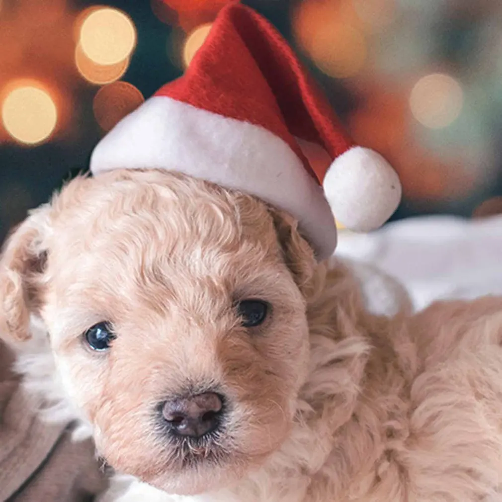 

Christmas Pet Hat Christmas Cat Dog Ornament Santa Claus Hat Winter Warm Xmas New Year Plush Cap Party Home Christmas Decoration