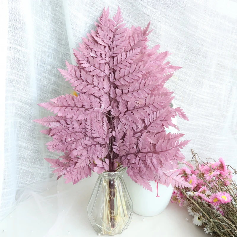 10 шт. папоротники сухие натуральные свежие консервированные растения Вечные