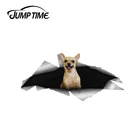 Виниловая наклейка на окно автомобиля, ноутбук, бампер, время прыжков 13 см х 5,8 см, Русский той-терьер, наклейка о животных, 3D животное, автомобильные наклейки с животными