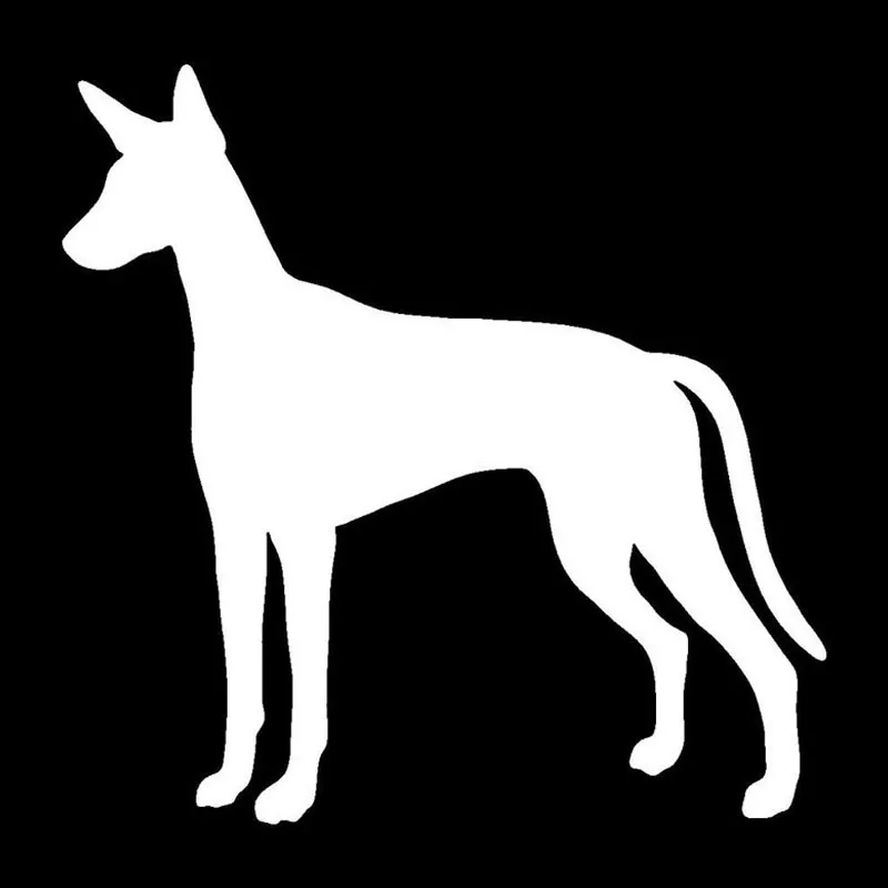 

Classic Personality Ibizan Hound Dog Decal Silhouette Car Stickers Car Styling Bumper Decoration Cover Scratches Waterproof PVC