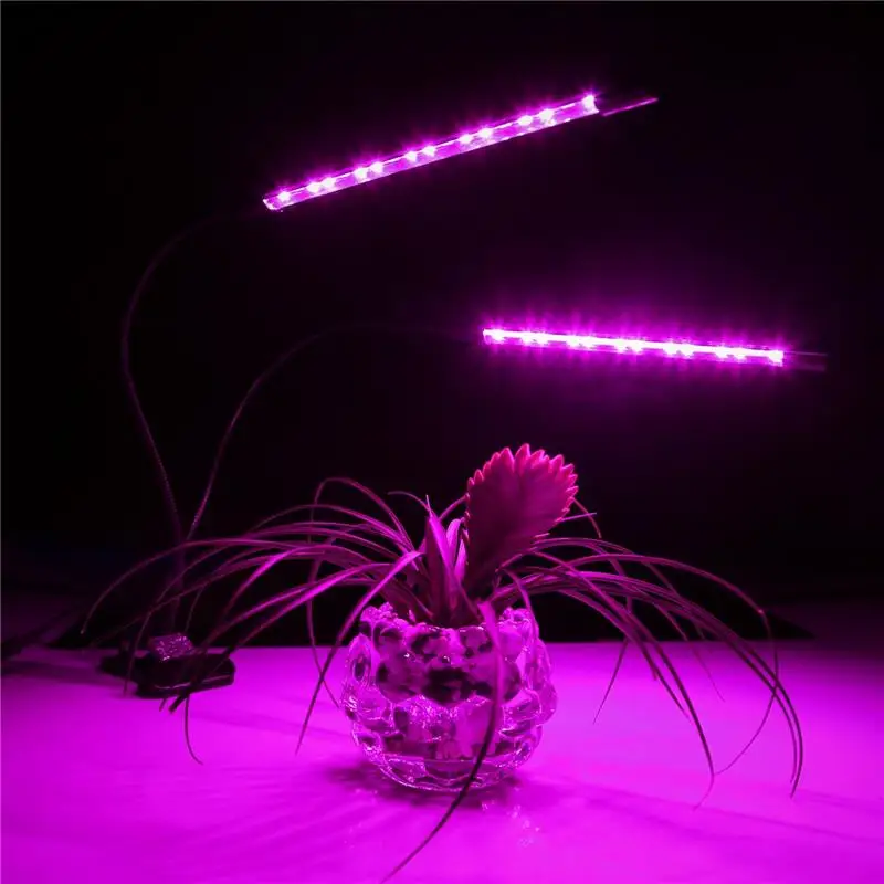 

natural light seltzer Plant growth lamp clip LED plant fill light full spectrum red and blue mixed succulent lamp