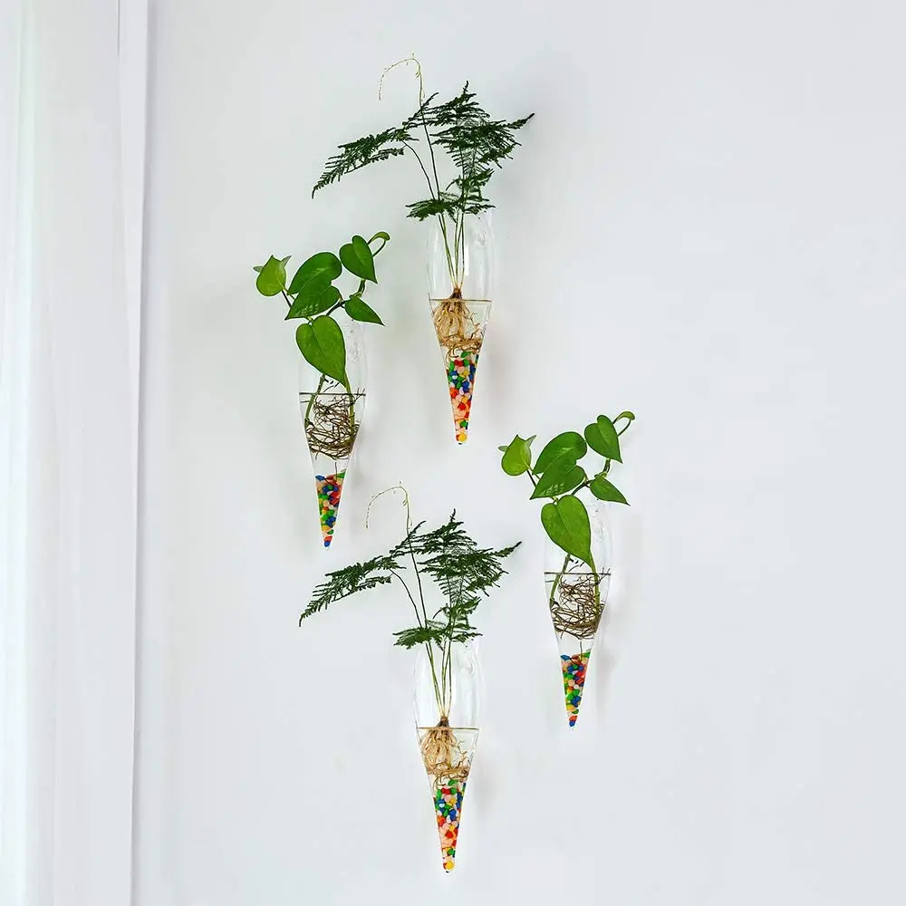 Стеклянные кастрюли настенные подвесные воздушные для растений ваза цветов