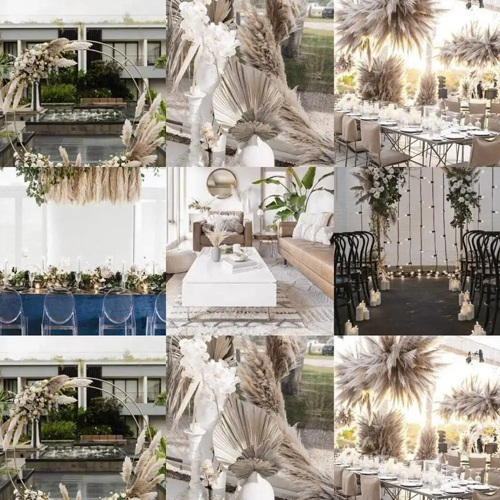 3Pcs/Set Natural Dried Flower Pampas Grass Gray Reed Home Decoration Wedding Layout Corner Shop Display Window Accessories - купить по