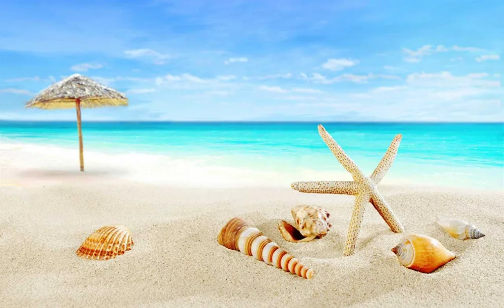 

SHENGYONGBAO Vinyl Custom Photography Backdrops Prop Summer Beach theme Photo Studio Background NM19428-504