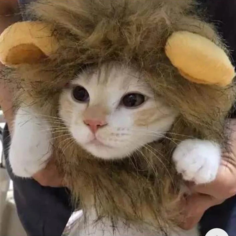 

2021 Hot Sale Pet Cat Dog Dress Up Costume Wig Emulation Lion Hair Mane Ears Head Cap Autumn Winter Muffler Scarf Pet Products