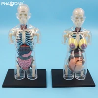 4d master transparent human anatomical model educational toys children used body anatomy internal organs school teaching tools