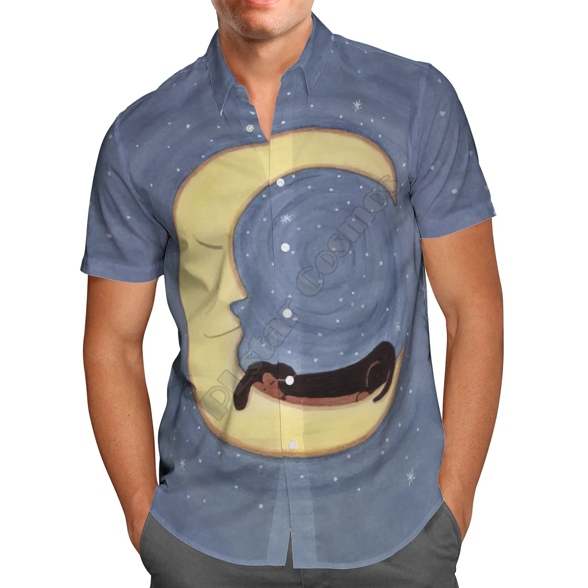 

Hawaii Shirt Hawaiian beach Summer Funny Dachshund 3D Printed Men's Shirt Harajuku Tee hip hop Casual shirts 05