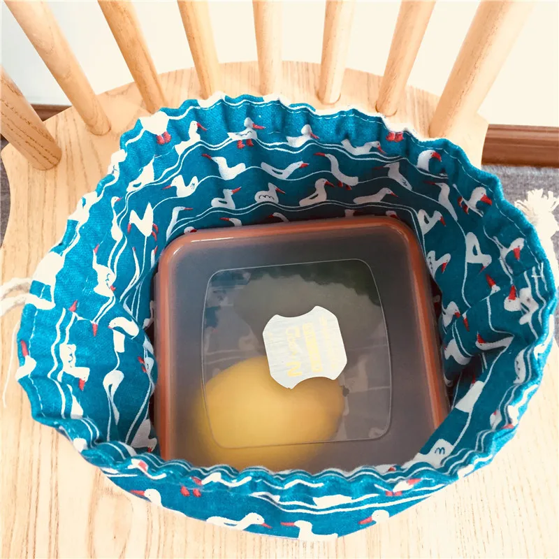 2019 переносная сумка для ланча с мультяшным котом в японском стиле пикника