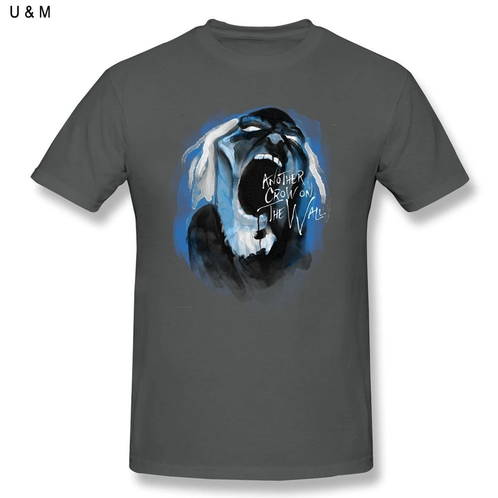 Аутентичные винтажные красивые футболки с надписью другая Ворона на стене