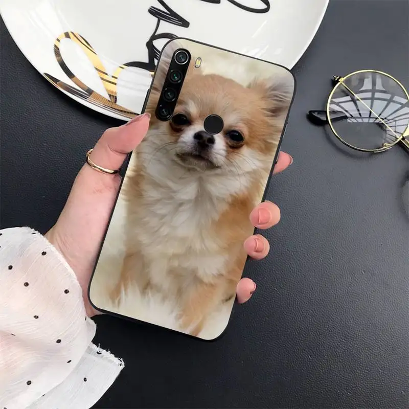 

cute lovely Animal Chihuahua dog Phone Case For Xiaomi Redmi 7 8 9t a3Pro 9se k20 mi8 max3 lite 9 note 9s 10 pro