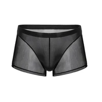 men sexy underwear mens ultra thin mesh boxer transparent boxershorts underpants male elastic cueca homme panties shorts bottoms