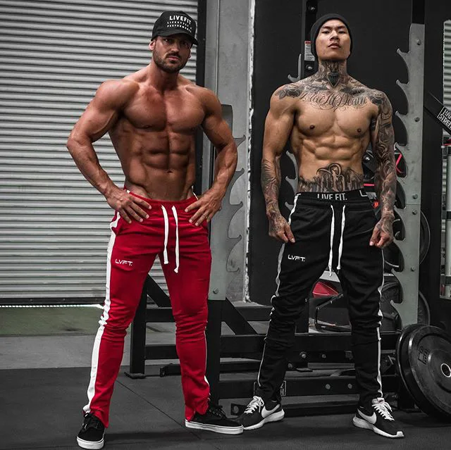 

Men Pants Joggers LYFT Streetwear Hip Hop Harajuku Track Harem Pants Gyms Fitness Skinny Side Striped Casual Mens Trousers