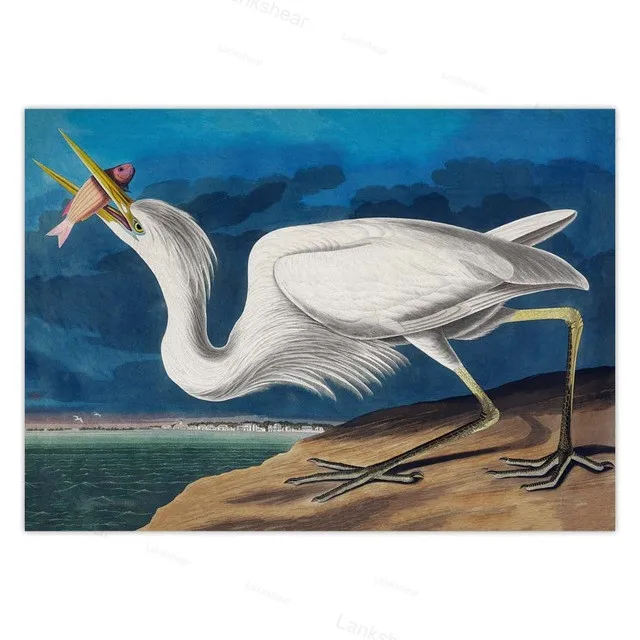 Винтажный постер с птицами холщовая печать настенное искусство картина