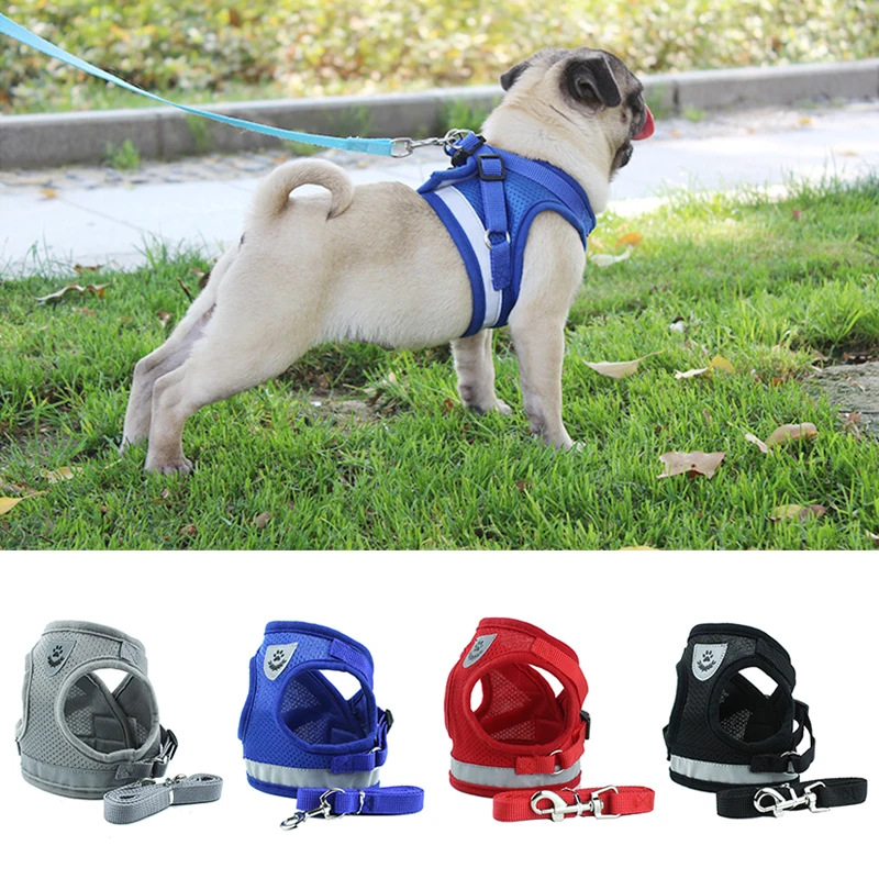 Комплект шлейки и поводка для собак чихуахуа нейлоновая сетчатая шлейка щенков