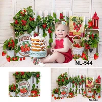 sweet strawberry farmer market background for photography girl birthday party flower basket photo backdrop decorations photozone