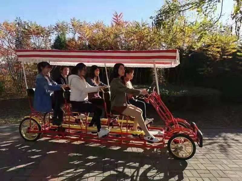 2 шт./лот 4-х колесные 6-местные туристические педали Surrey Bike дорожные тандемные