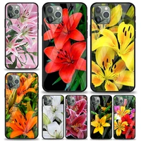 colorful flower lily for apple iphone 12 pro max mini 11 pro xs max x xr 6s 6 7 8 plus luxury tempered glass phone case