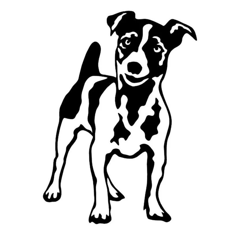 

10.3 X 14cm Jack Russell Terrier Car Sticker Funny Pet Motorcycle Sticker Car Styling