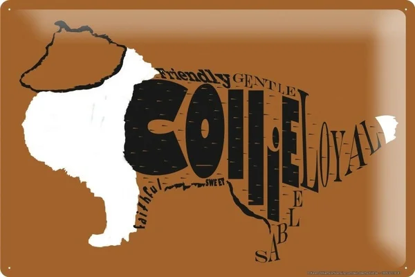 

Tin Sign Animal Shelter Border Collie Metal Plate