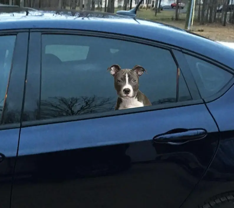 

Dog sticker Car sticker Bull Terrier art Bull Terrier sticker Animals sticker Car decor Gifts her Laptop sticker Vinyl sticker