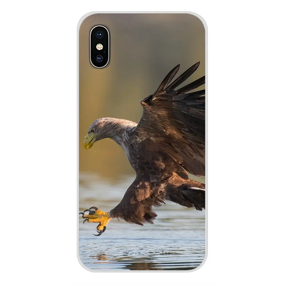 King of birds eagle hawk аксессуары чехлы для телефонов Samsung Galaxy J1 J2 J3 J4 J5 J6 J7 J8 Plus 2018 Prime 2015 2016