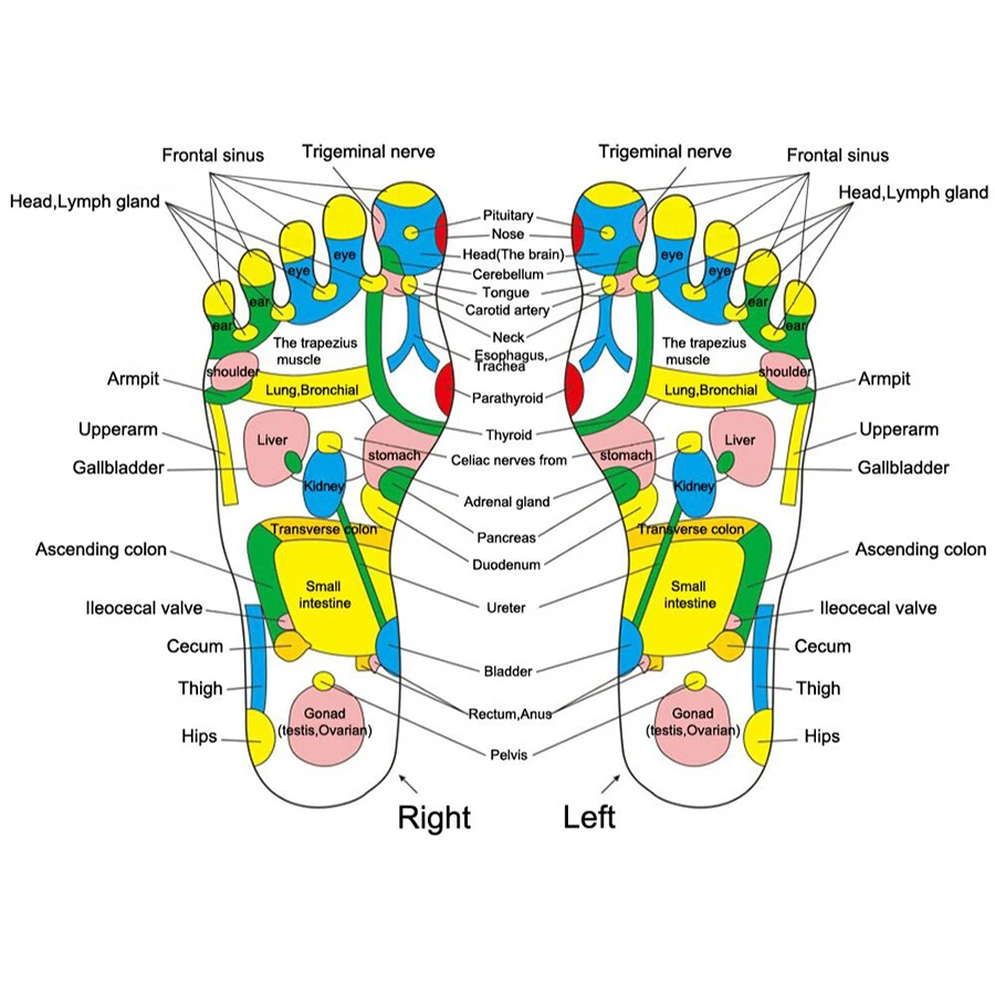 

Reflexology Walk Stone Foot Massager Cushion Acupuncture Point Massage Feet Relaxation Cushion Foot Acupuncture Mat Relaxation