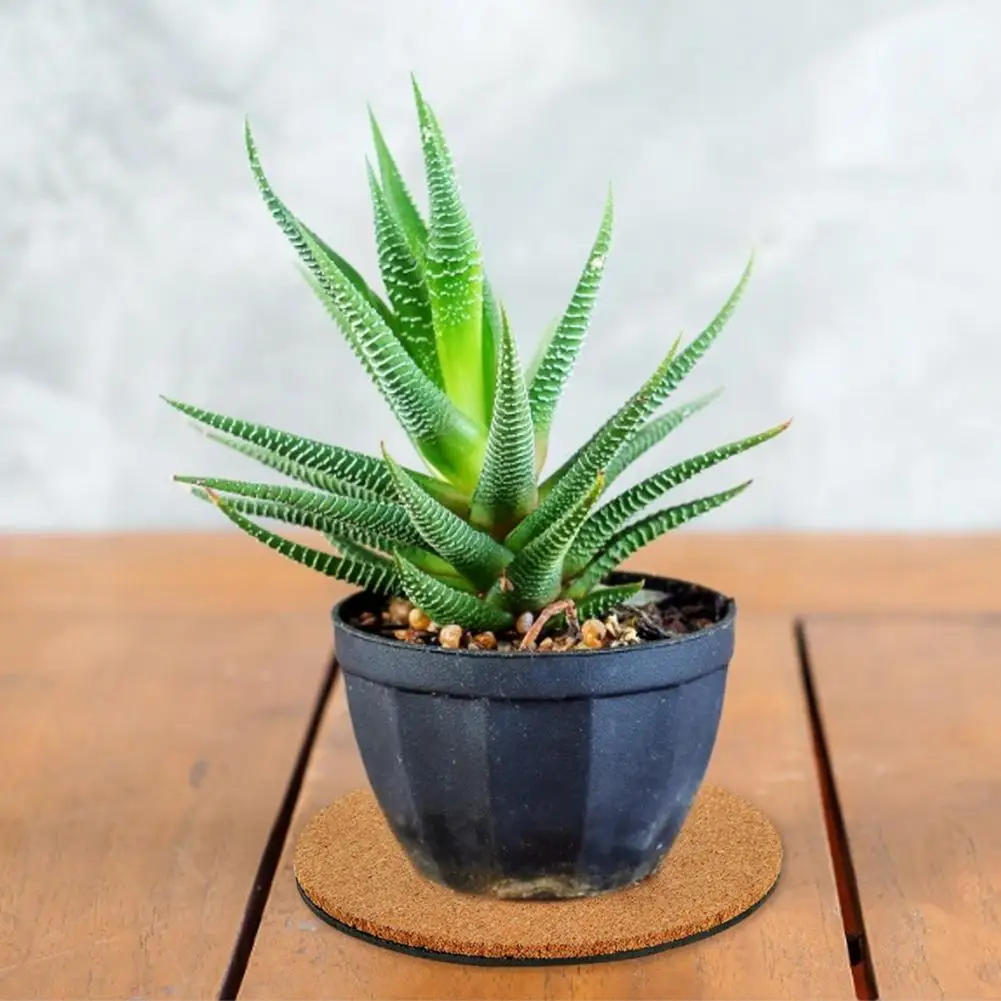 

6Pcs Cork Plant Mat Potted Plant Plate Pad Coaster For Gardening Backing Sheets For Coasters And DIY Crafts Home Supplies