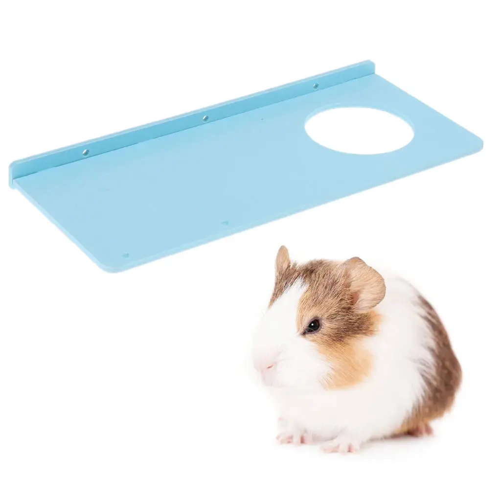 

31.5x13.5cm Standing Ecological Board for Hamster Parrot Birds Springboard Pier ( Random Color )