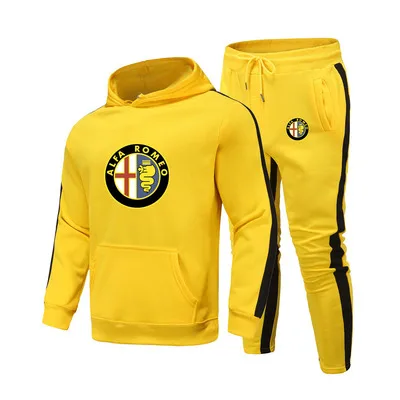 Костюм спортивный мужской демисезонный худи с логотипом Alfa Romeo модный костюм в