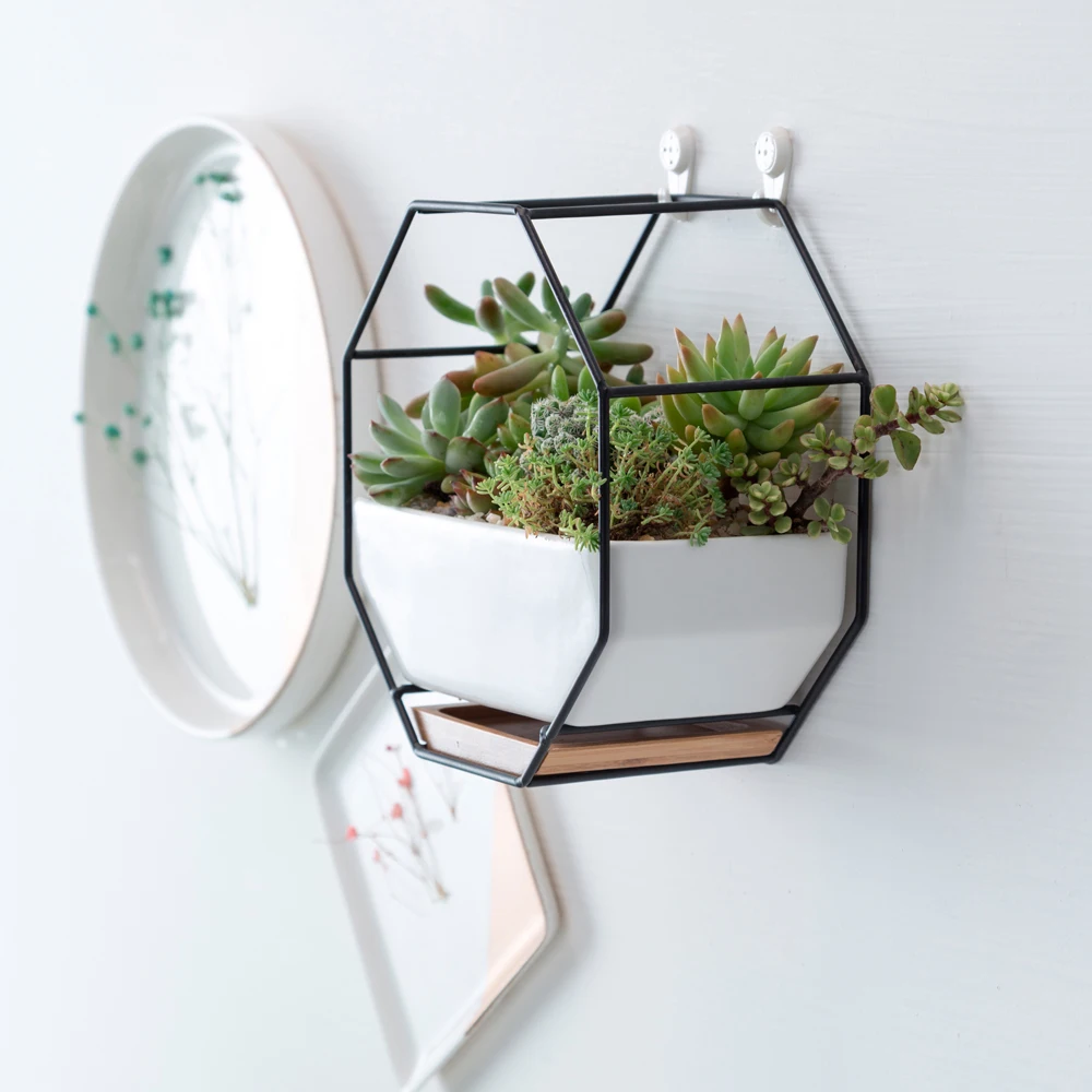 Настенный Настольный плантатор черный золотой подвесной Плантатор суккулентные