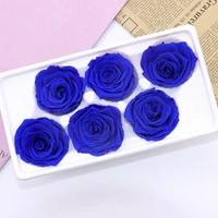 6 roses dried flower flower head eternal flower b class wedding family decoration valentines day mothers day gift