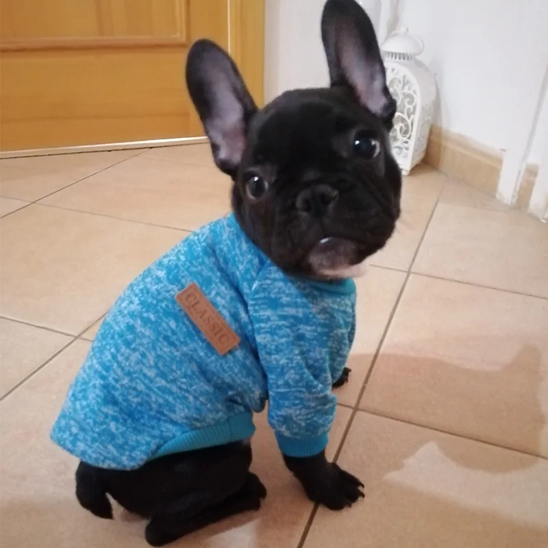 Одежда для собак однотонный дизайн Классическая Толстовка осенне-зимняя одежда